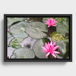 Lilly Framed Canvas
