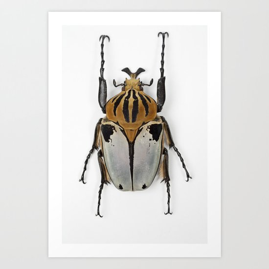 Beetle Art Print