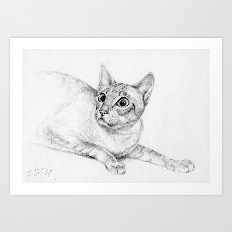 Siamese Cat Hunting Pencil Drawing Pet Illustration Decor For Cat