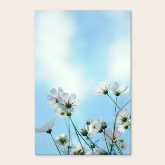 Beautiful morning Canvas Print