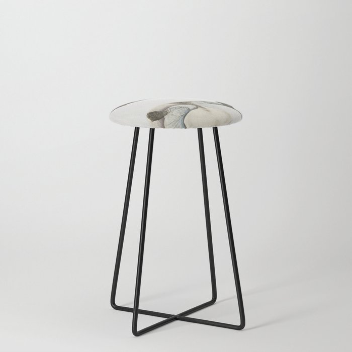 Eyed Trionyx (Tryonix ocellatus) Counter Stool