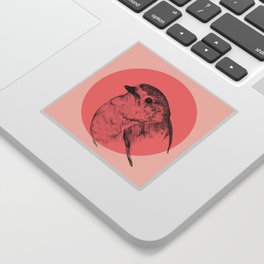Robin - Red Bird Drawing Sticker
