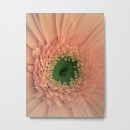 Peach Love Metal Print