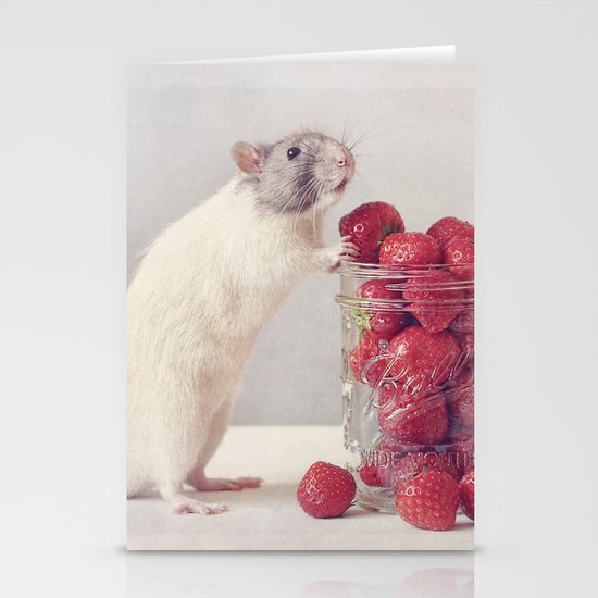 Snoozy Stationery Cards