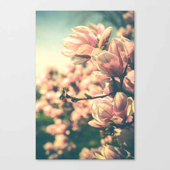 Spring Equinox Canvas Print