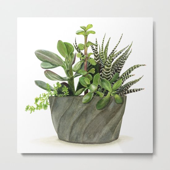 Watercolor Succulents Metal Print