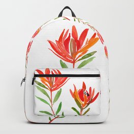Safari Sunset - Conebush Backpack
