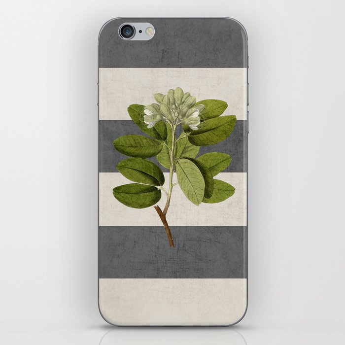 botanical stripes 5 -gray iPhone Skin