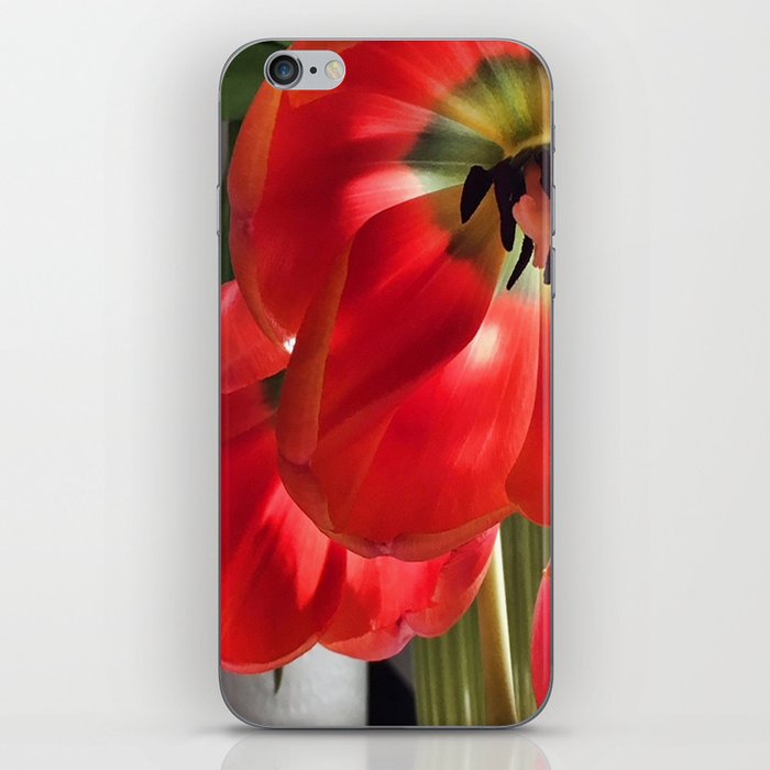 Sunshine & Tulips iPhone Skin