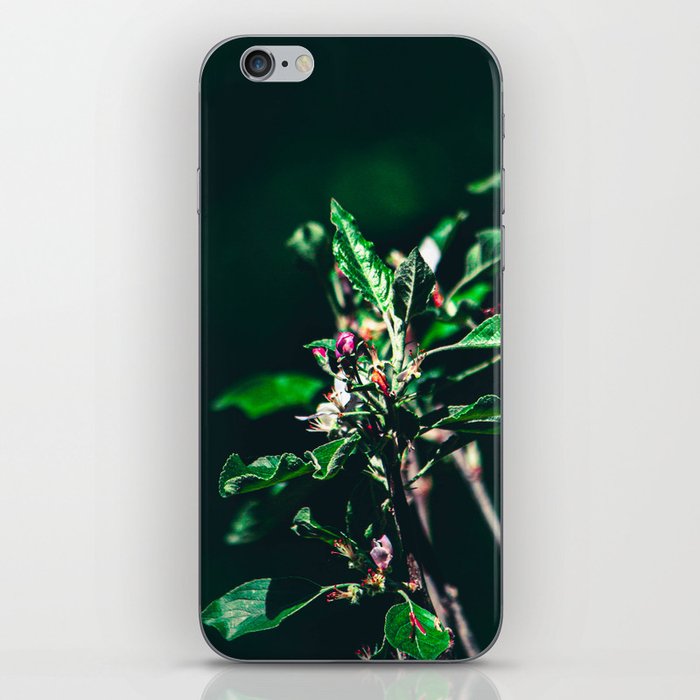 Foliage iPhone Skin