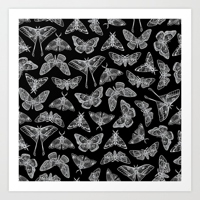 Lepidoptera Black & White Art Print