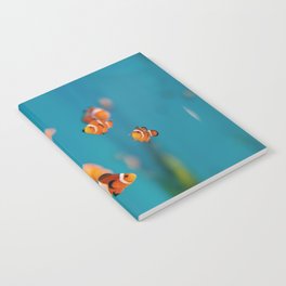 Clown Fish Notebook