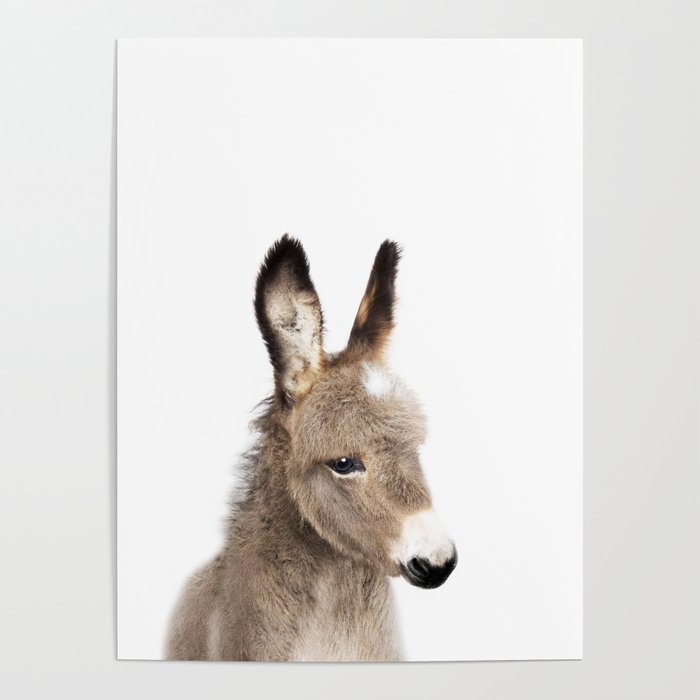 Baby Donkey, Farm Animals, Art for Kids, Baby Animals Art Print By Synplus Poster