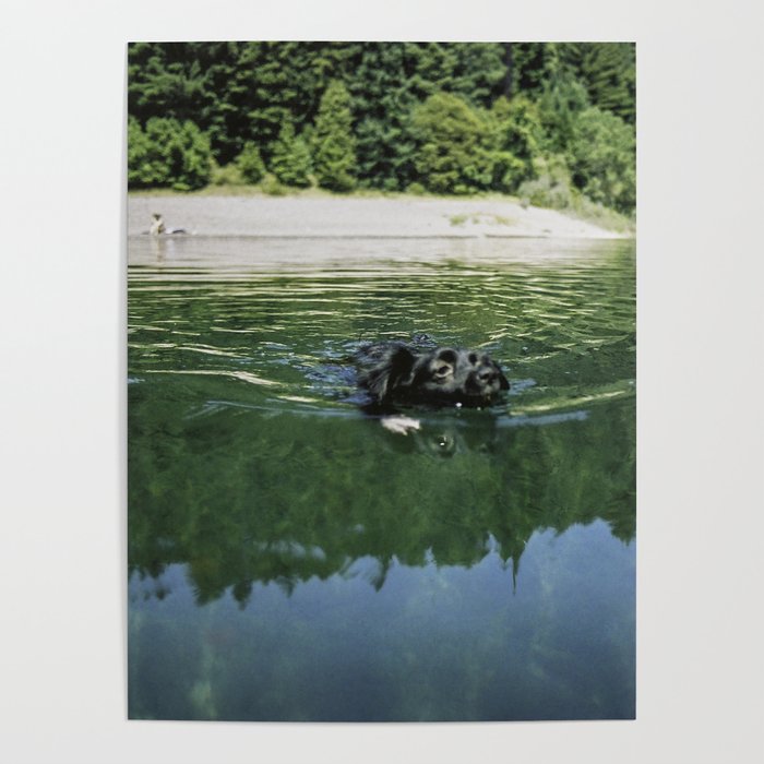 Dog River Poster