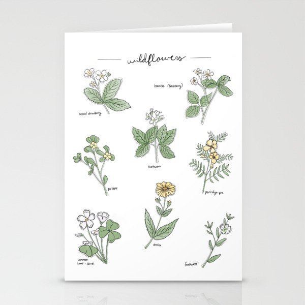 Wildflower Guide Illustration Stationery Cards