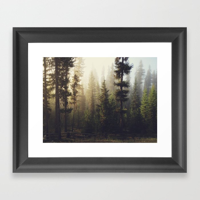 Sunrise Forest Framed Art Print