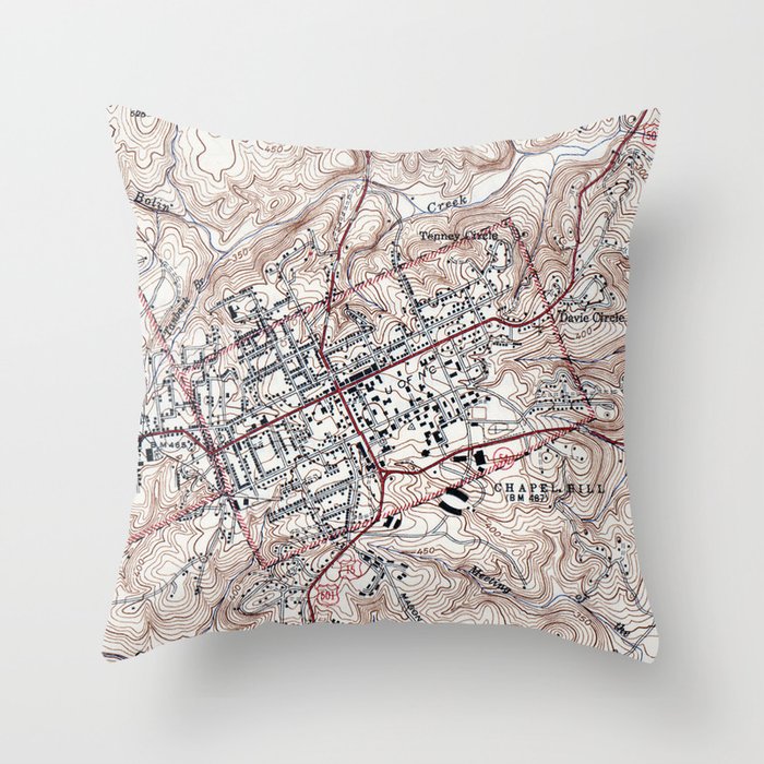 Throw Pillow