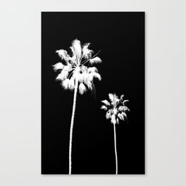 Palm Tree Noir #71 Canvas Print