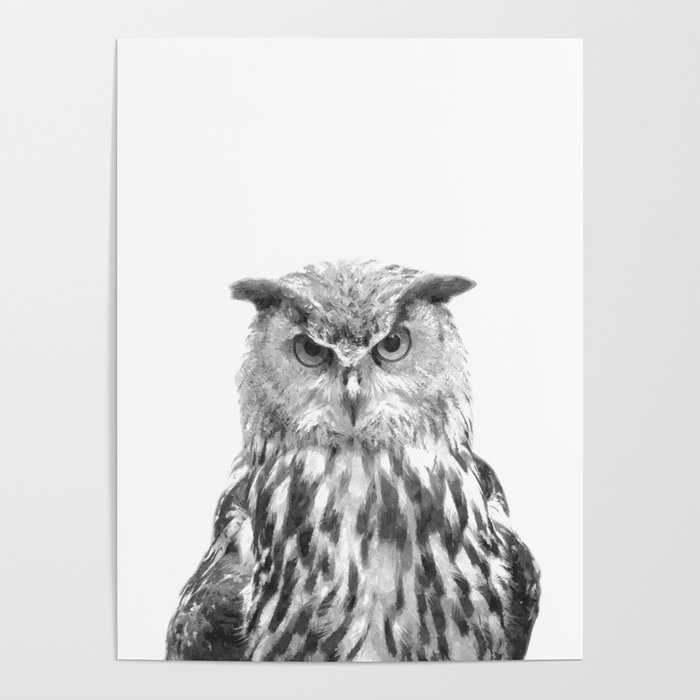3721 Picture Poster Print Art A0 A1 A2 A3 A4 Animal Poster WHITE OWL TREE 