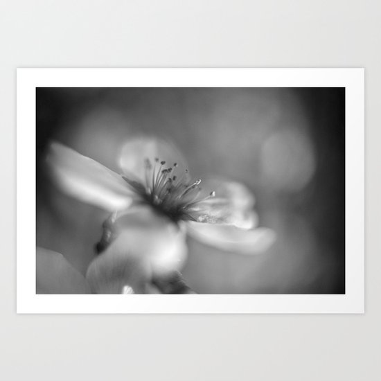 White flowers. Mono Art Print
