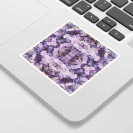 Lavender - Lavandula angustifolia Sticker