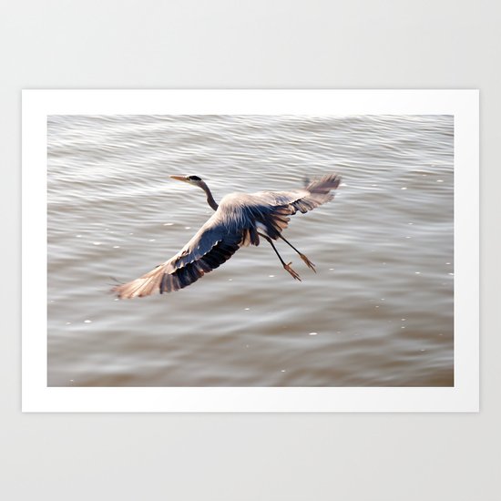 a great Blue Heron Art Print