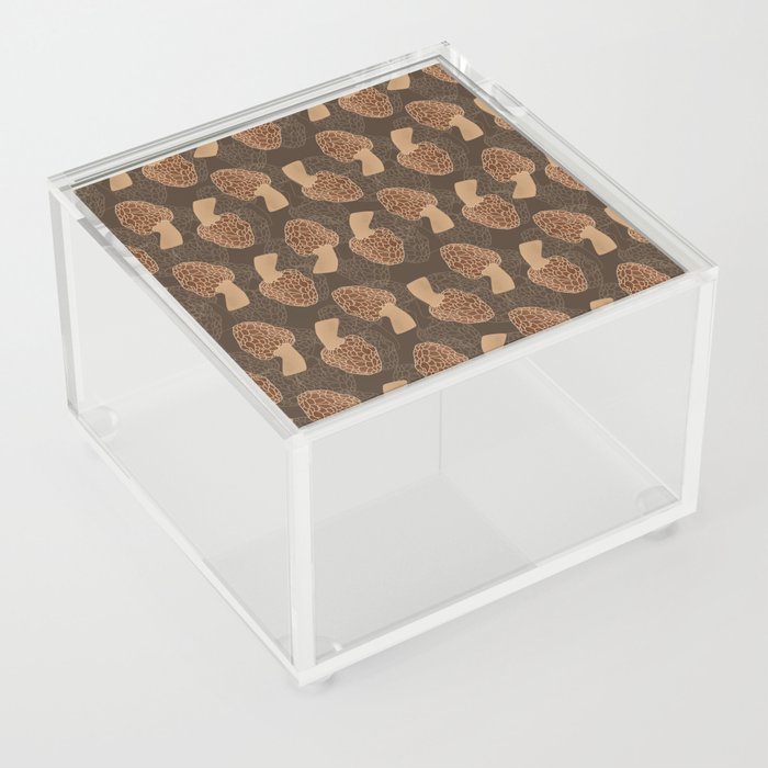 Morel Mushroom Acrylic Box