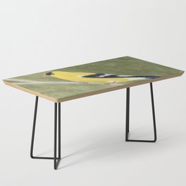 Goldfinch Coffee Table