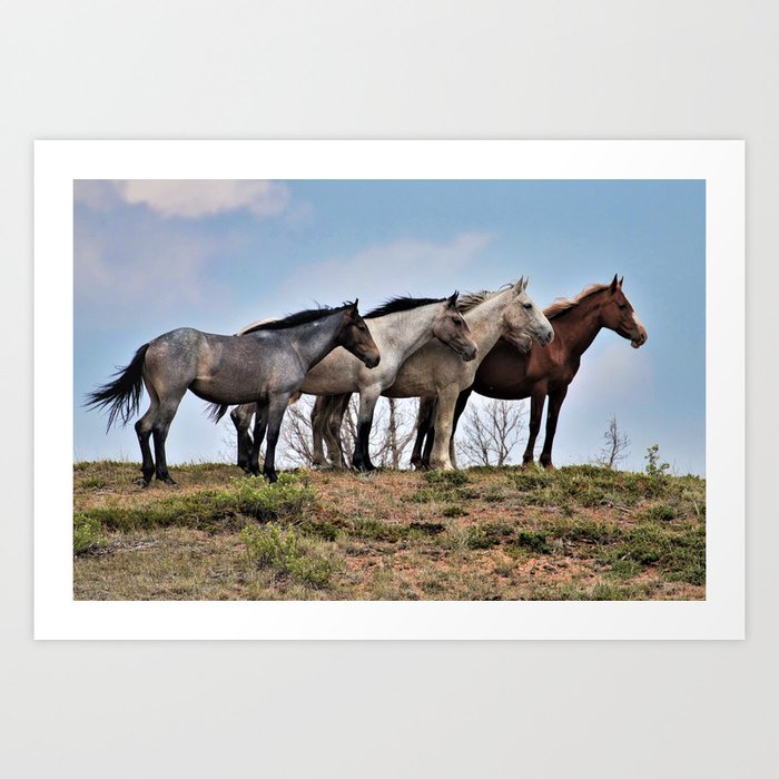 FIVE wild horses Art Print