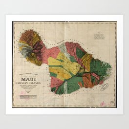Vintage Map of Maui Hawaii (1885) Art Print