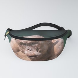 Jambo The Hairless Alpha Male Chimp green Fanny Pack