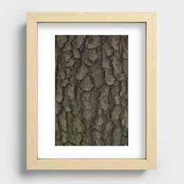 TreeBark Art Recessed Framed Print