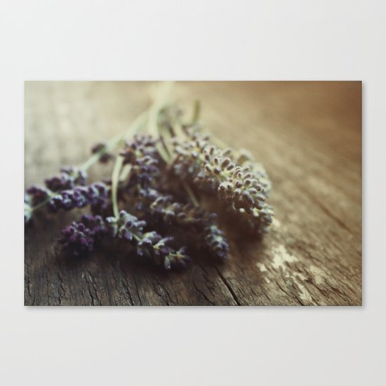 Lavender Morning Canvas Print