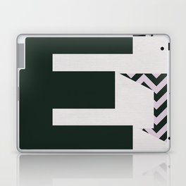 E. Laptop & iPad Skin