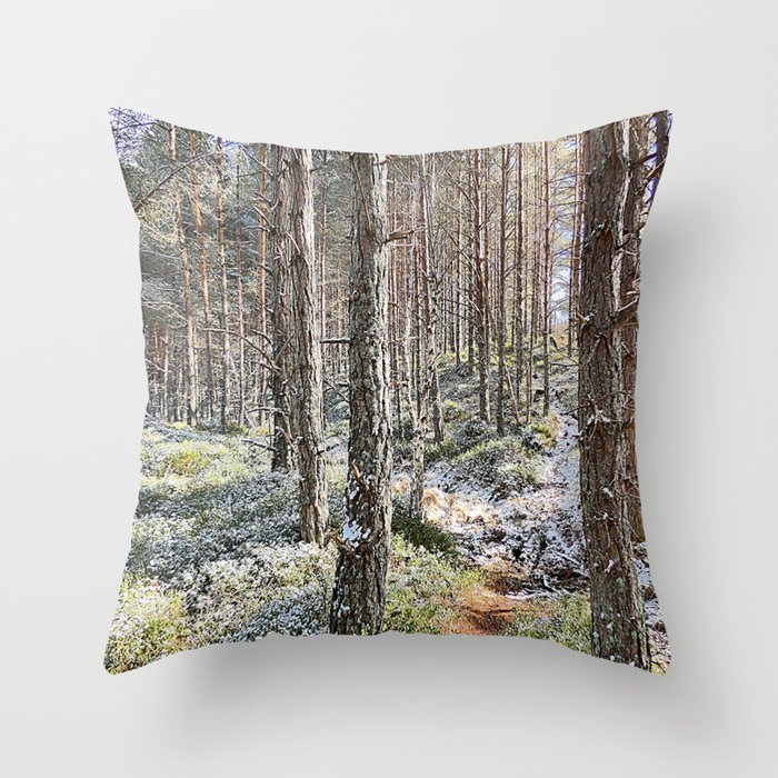 Scottish Highlands Spring Nature Walk Scene   Throw Pillow