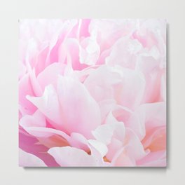 CREAMY PINK FLOWER Metal Print | Soft, Color, Styleish, Girly, Rose, Digital, Photo, Nature, Hdr, Woman 