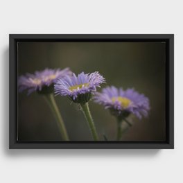 Trois Fleurs Framed Canvas