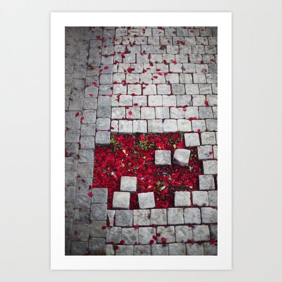 Fallen Petals Art Print