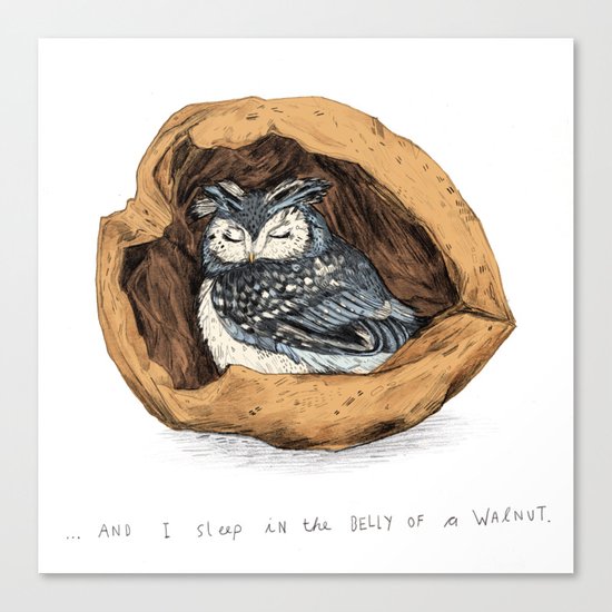 Belly of a Walnut Canvas Print