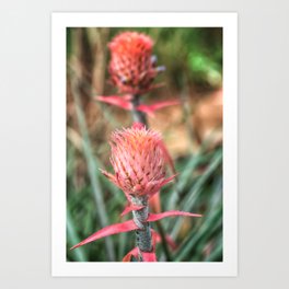 red and yellow flowers Art Print | Orange, Garden, Macro, Floral, Green, Photo, Flower, Purple, Spring, Plant 