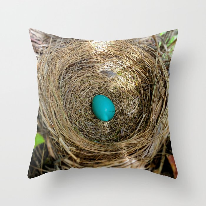 One Little Robin's Egg Throw Pillow