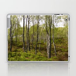Song of the Scottish Highlands Birch Trees Laptop Skin