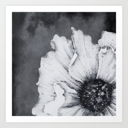 Black and White Poppy Art Print