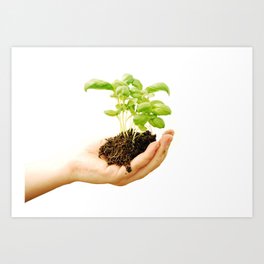 isolated on white woman hand keeping soil and plant Art Print | People, Photo, Nature 