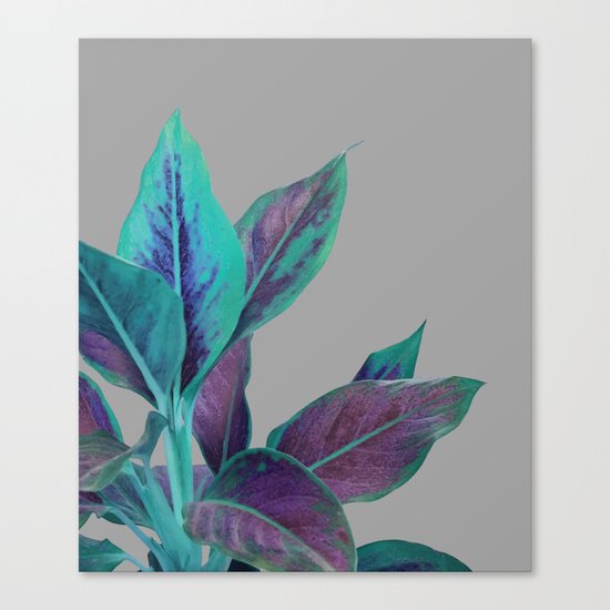 Still Nature #society6 #buyart #decor Canvas Print