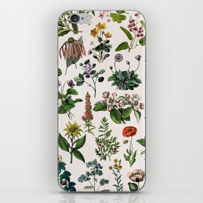 vintage botanical print iPhone Skin