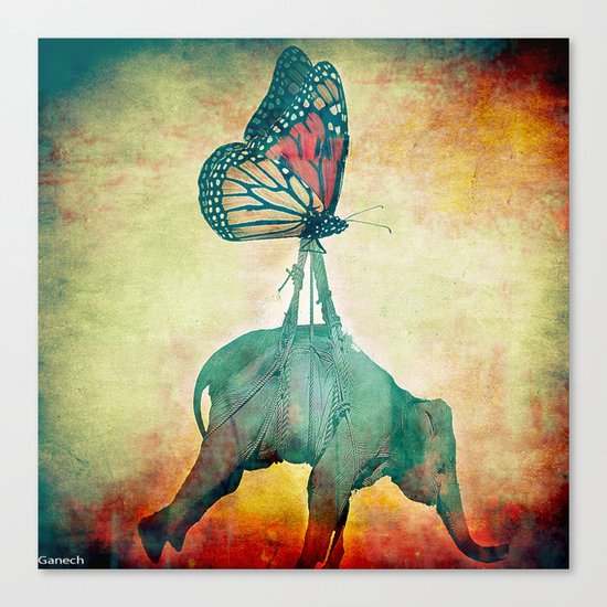 The elephant and the butterfly Canvas Print