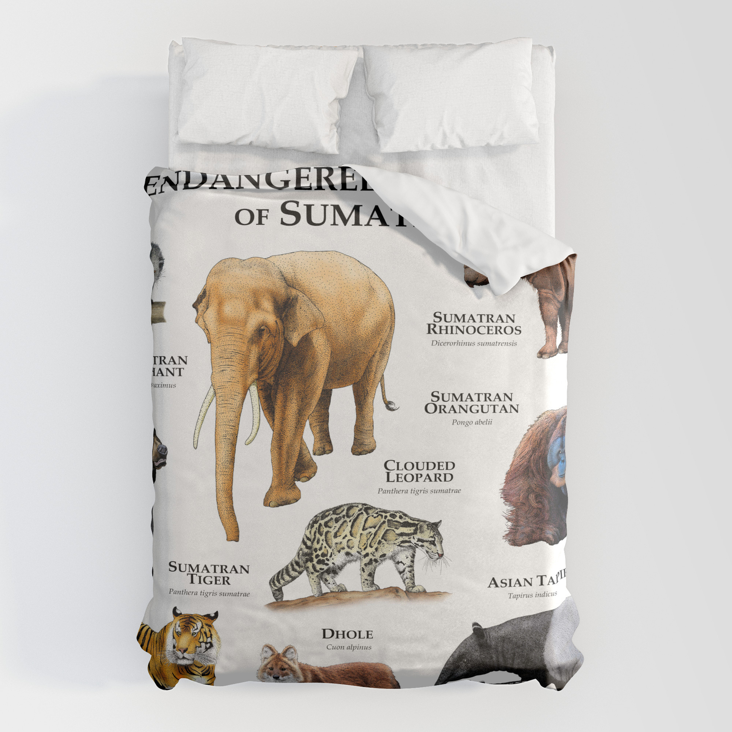 Endangered Animals of Sumatra Duvet Cover by Wildlife Art by Roger Hall |  Society6