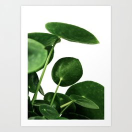 Green Plant Art Print