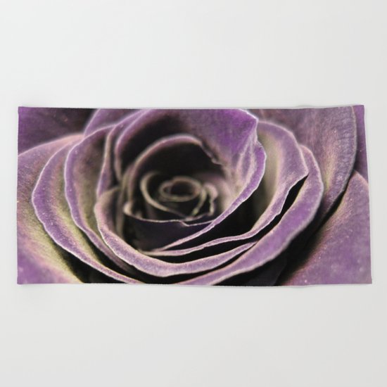 Purple velvet rose Beach Towel